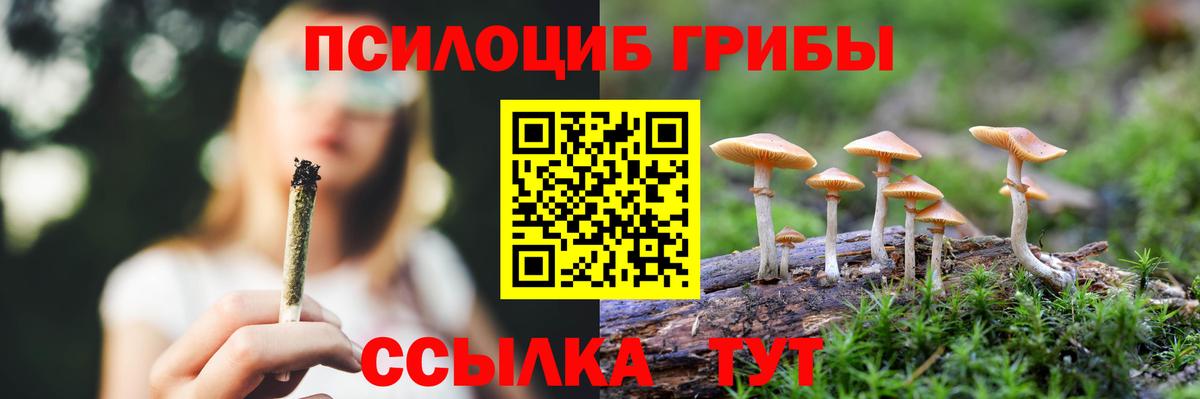 Галлюциногенные грибы мицелий Урус-Мартан